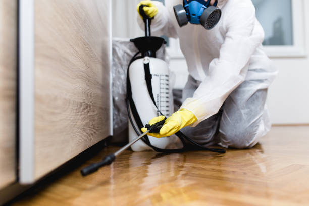 Best Pest Removal Services  in Seth Ward, TX