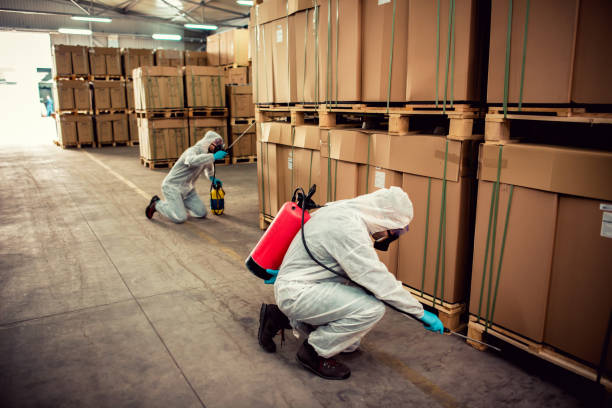 Best Emergency Pest Control  in Seth Ward, TX