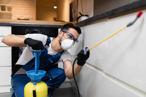 Best Termite Control Services  in Seth Ward, TX
