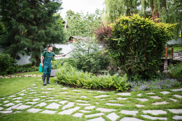 Best Best Pest Control Companies  in Seth Ward, TX