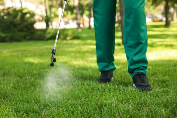 Best Best Pest Control Companies  in Seth Ward, TX