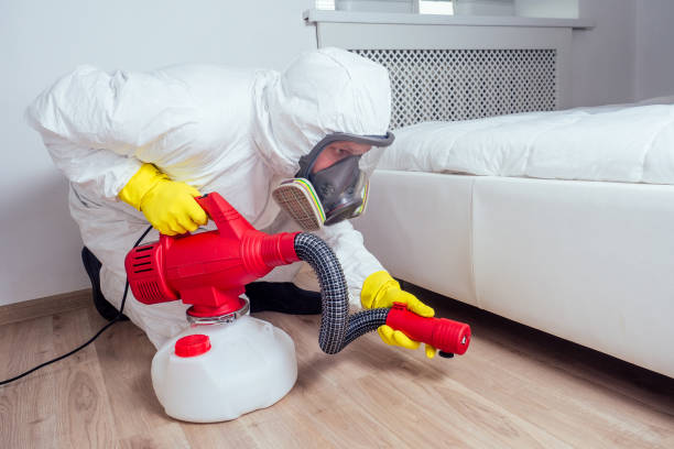 Best Flea Control Services  in Seth Ward, TX