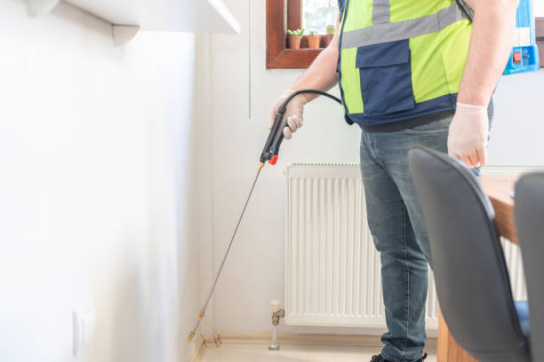 Best Pest Prevention Services  in Seth Ward, TX