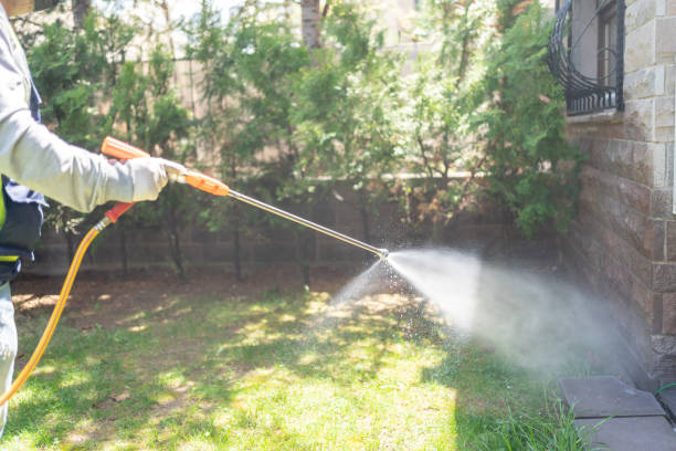 Reliable Seth Ward, TX Pest Control Solutions