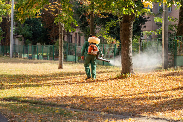 Best Best Pest Control Companies  in Seth Ward, TX