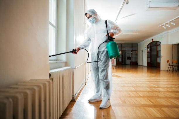 Best Bed Bug Extermination  in Seth Ward, TX