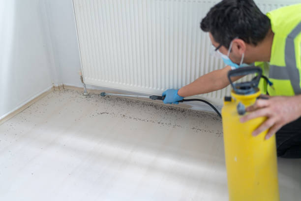 Best Affordable Pest Control Services  in Seth Ward, TX